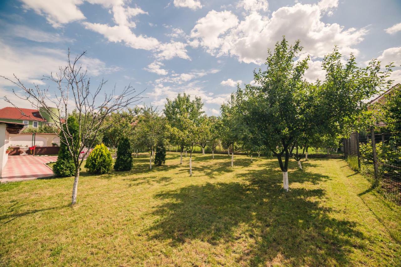 G.Eag - Premium Apartment Oradea Eksteriør billede